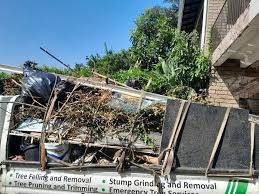 Best Shed Removal in Gering, NE